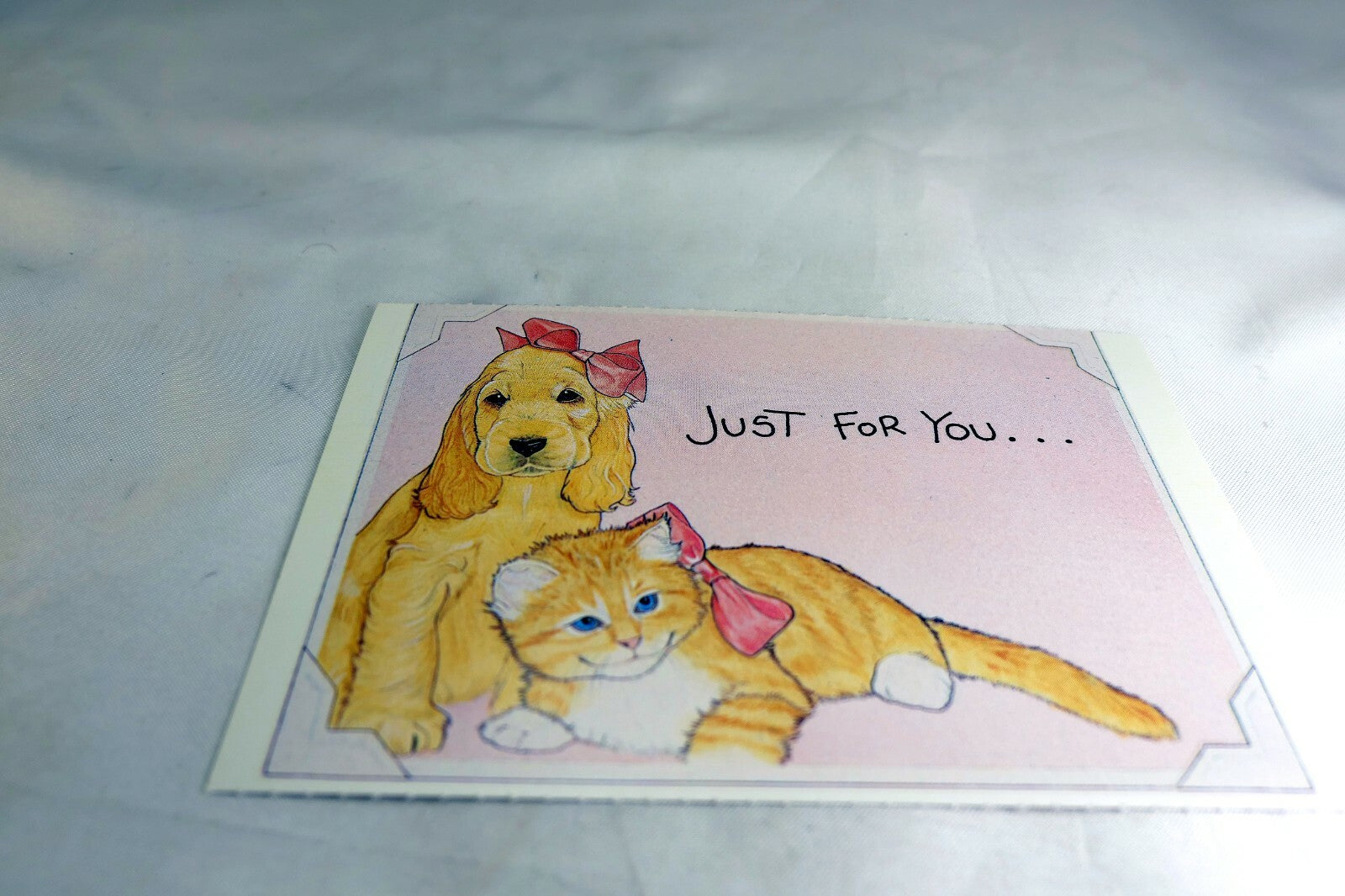 Just For You Get Well Postcard Animal Shelter North Shore League Dog Cat