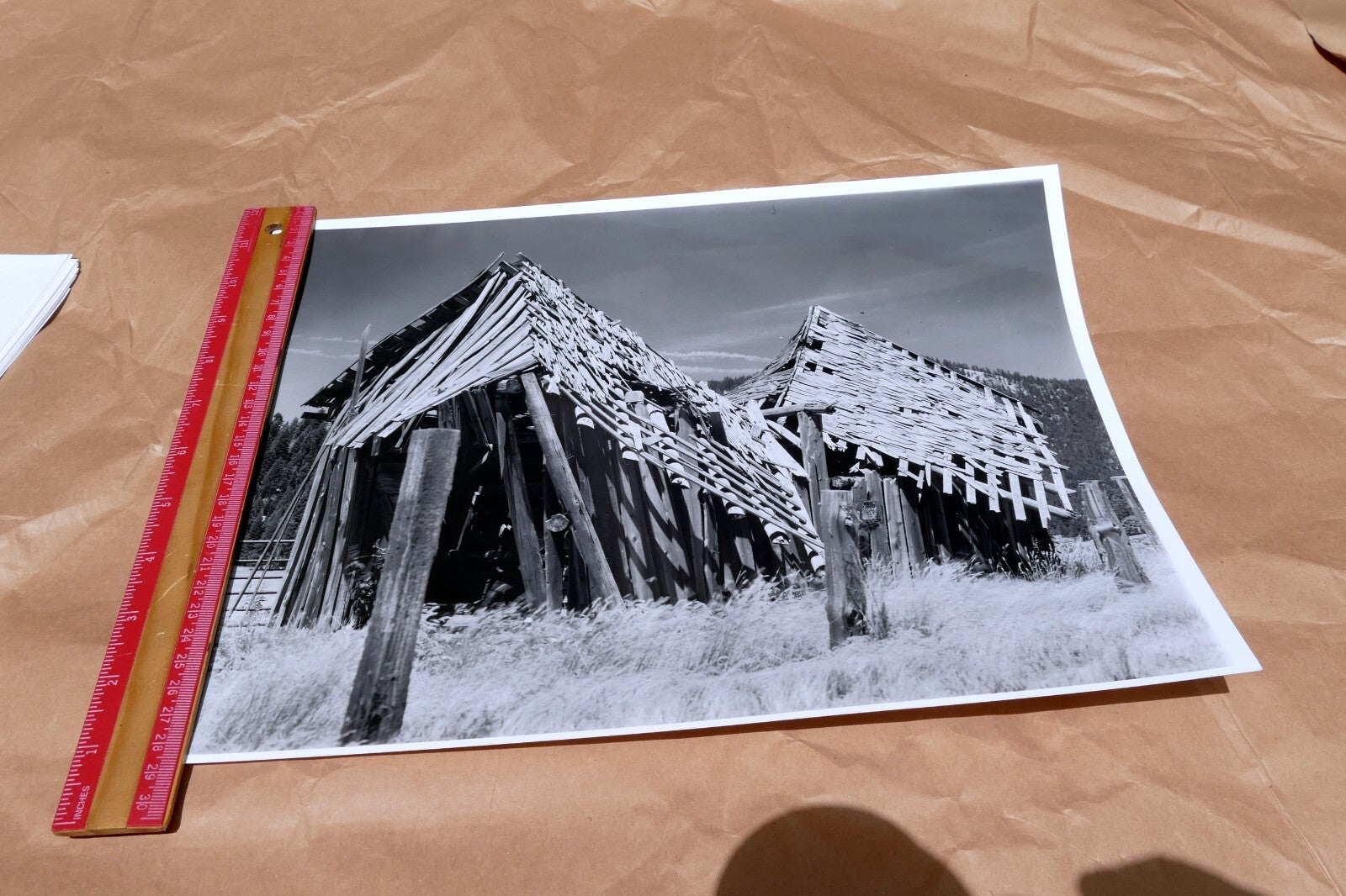 Mt. Shasta California 11X14" Black & white Picture Photo Forgotten Cabin USA