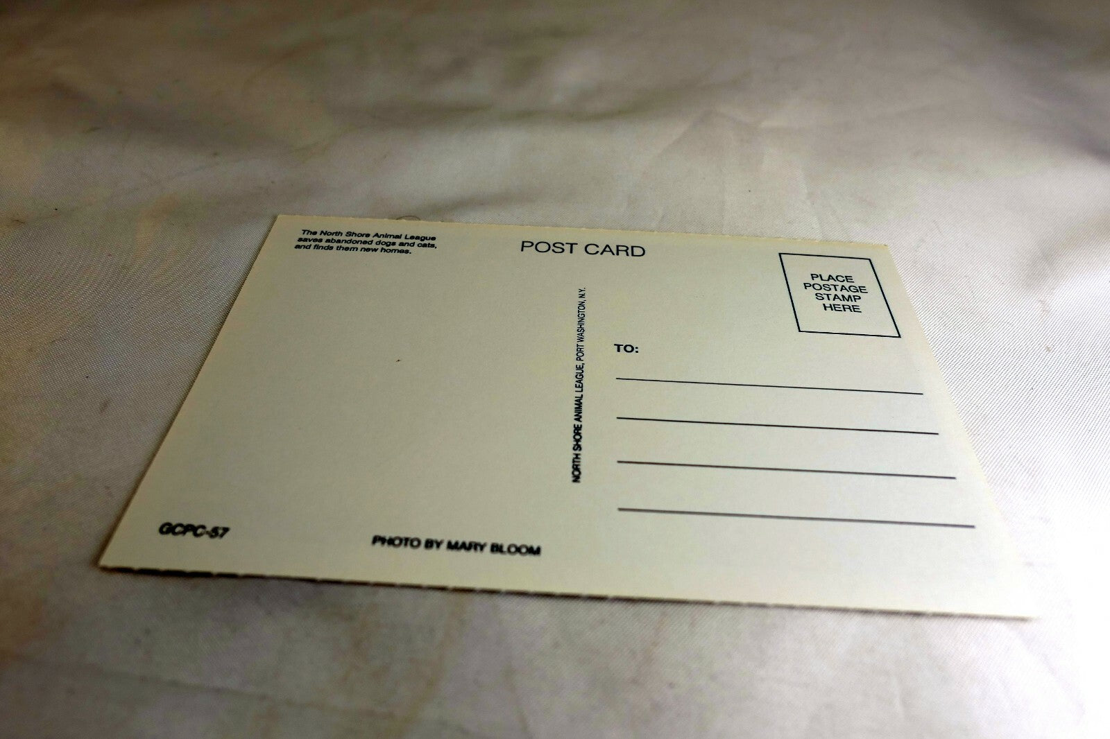 Get Well Postcard Animal Shelter North Shore League Dog with Santa Cookies 1980s