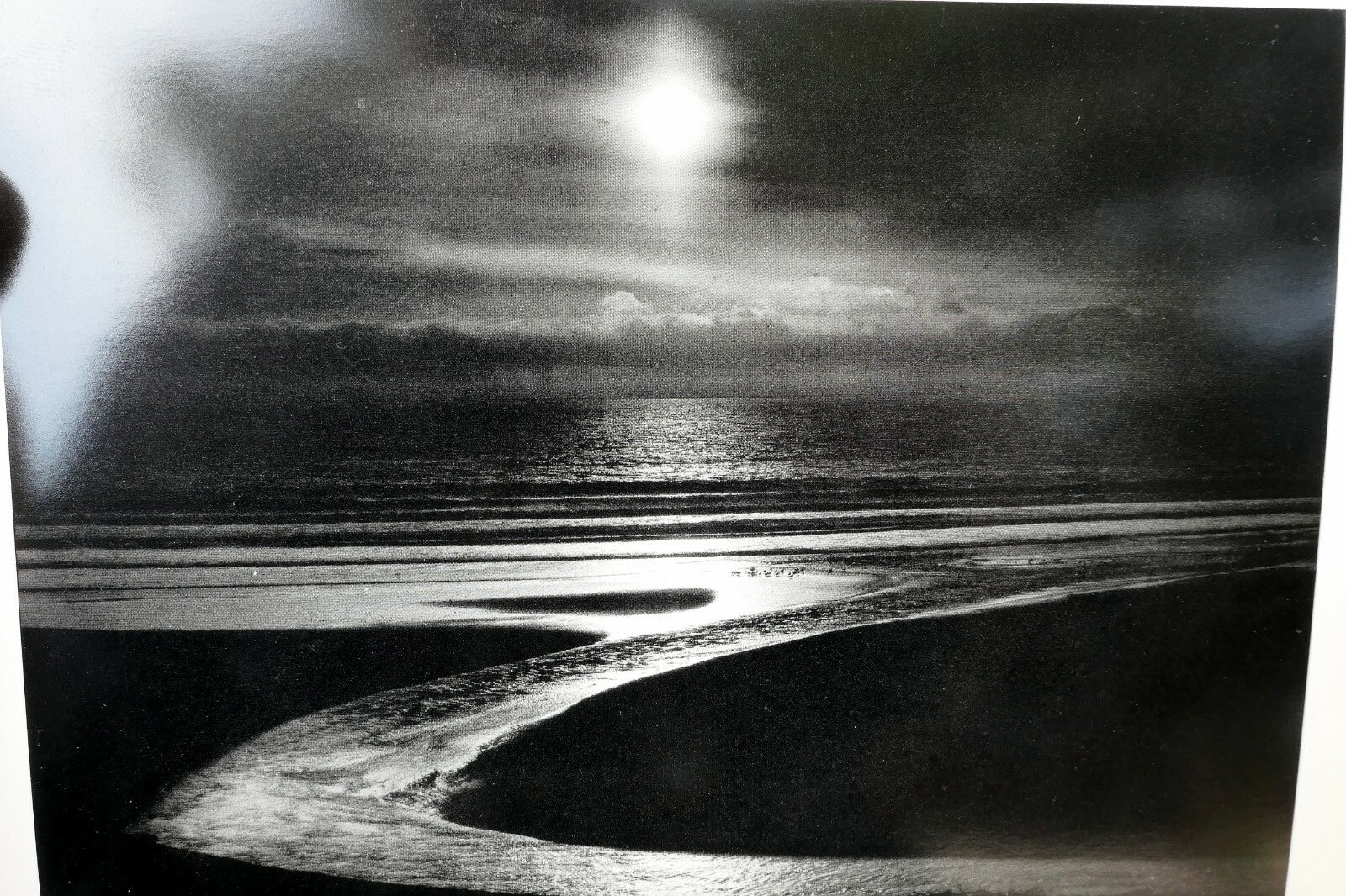 Let There Be Light 1954 Photograph by Wynn Bullock POSTCARD WB-5