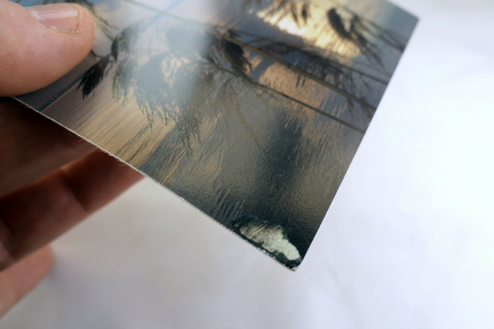 Lake Pampas Reeds grass sunset California USA Postcard vintage 1980's