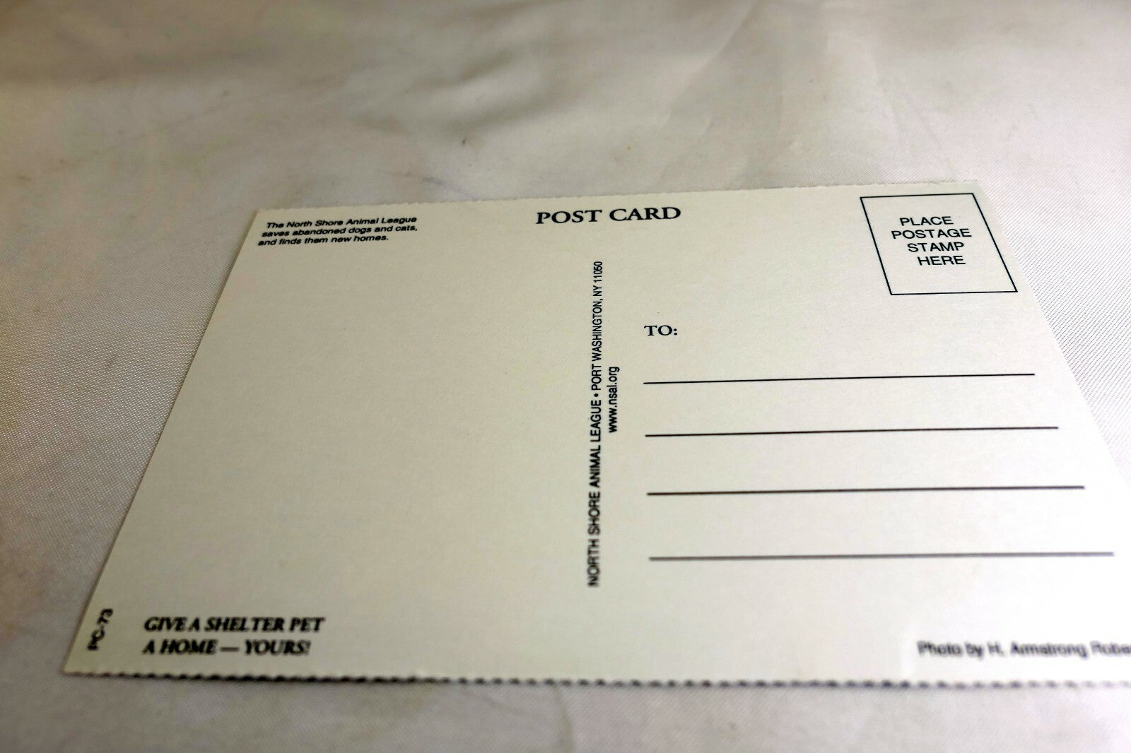 Postcard Animal Shelter North Shore League Adopt a Pet Kitten 1980's vintage