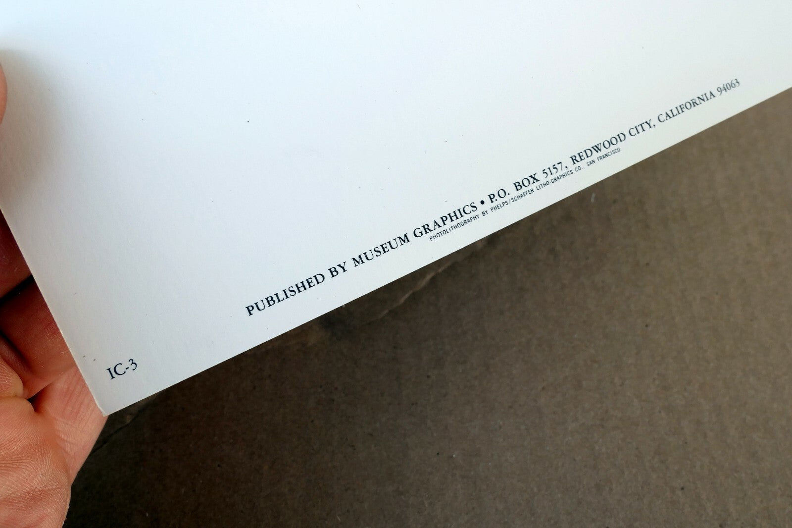 Magnolia Blossom 1925 Photograph by Imogen Cunningham POSTCARD IC-3 Floral