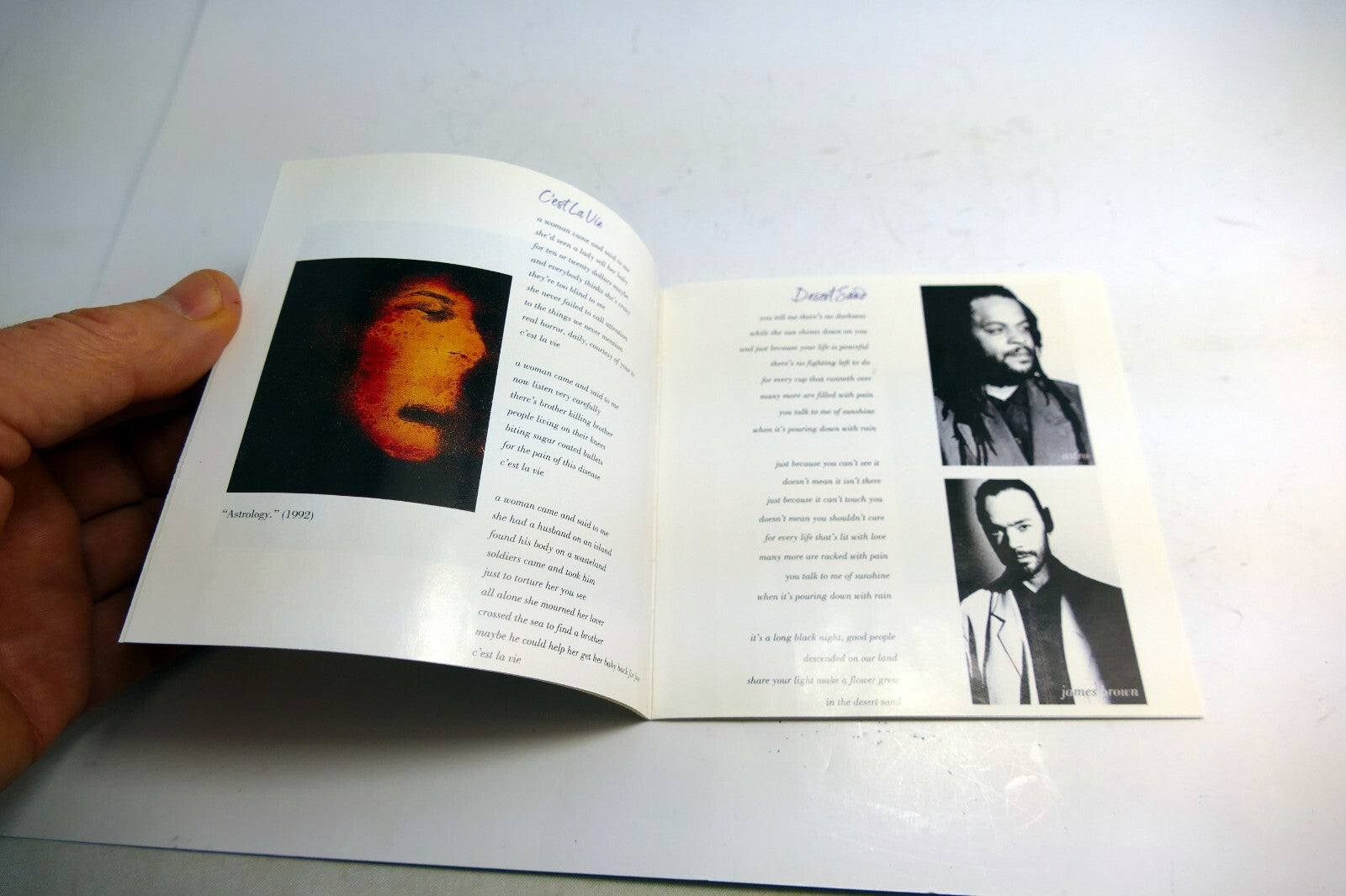 INLAY Cover ART Only NO Case, or CD included - UB40 Promises and Lies