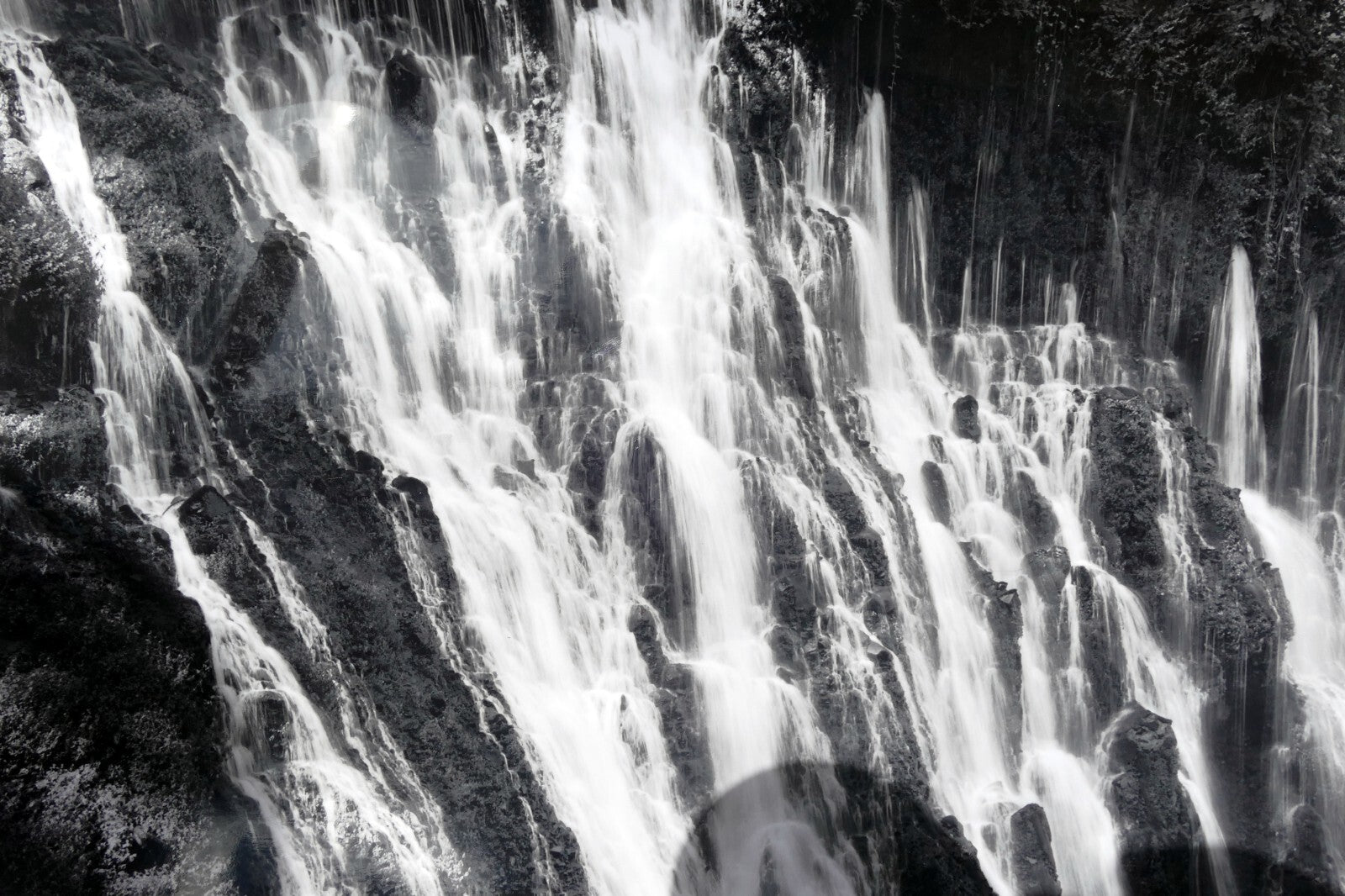 Mt. shasta california 11x14" black & white picture photo burney falls usa