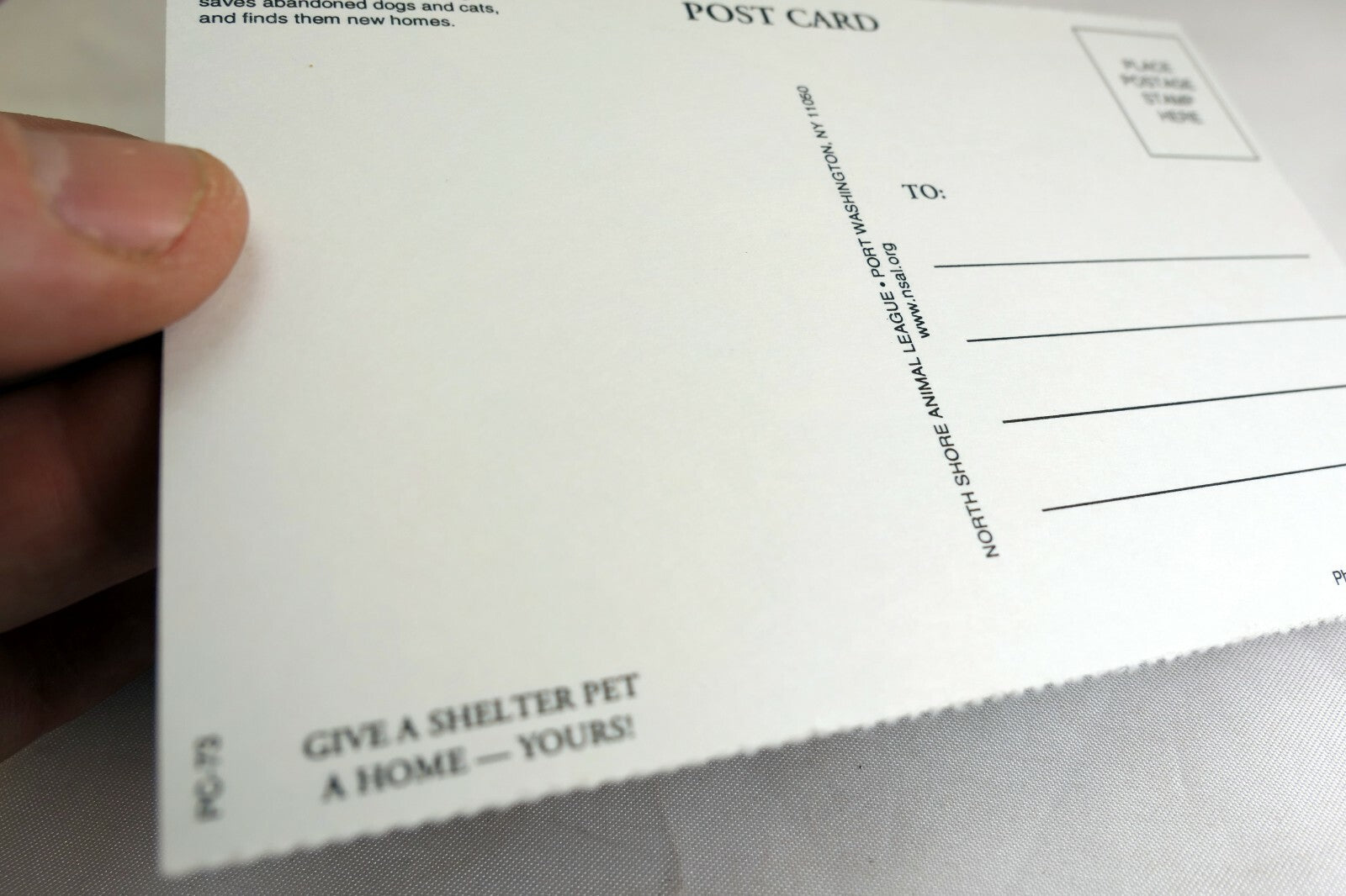 Postcard Animal Shelter North Shore League Adopt a Pet Kitten 1980's vintage