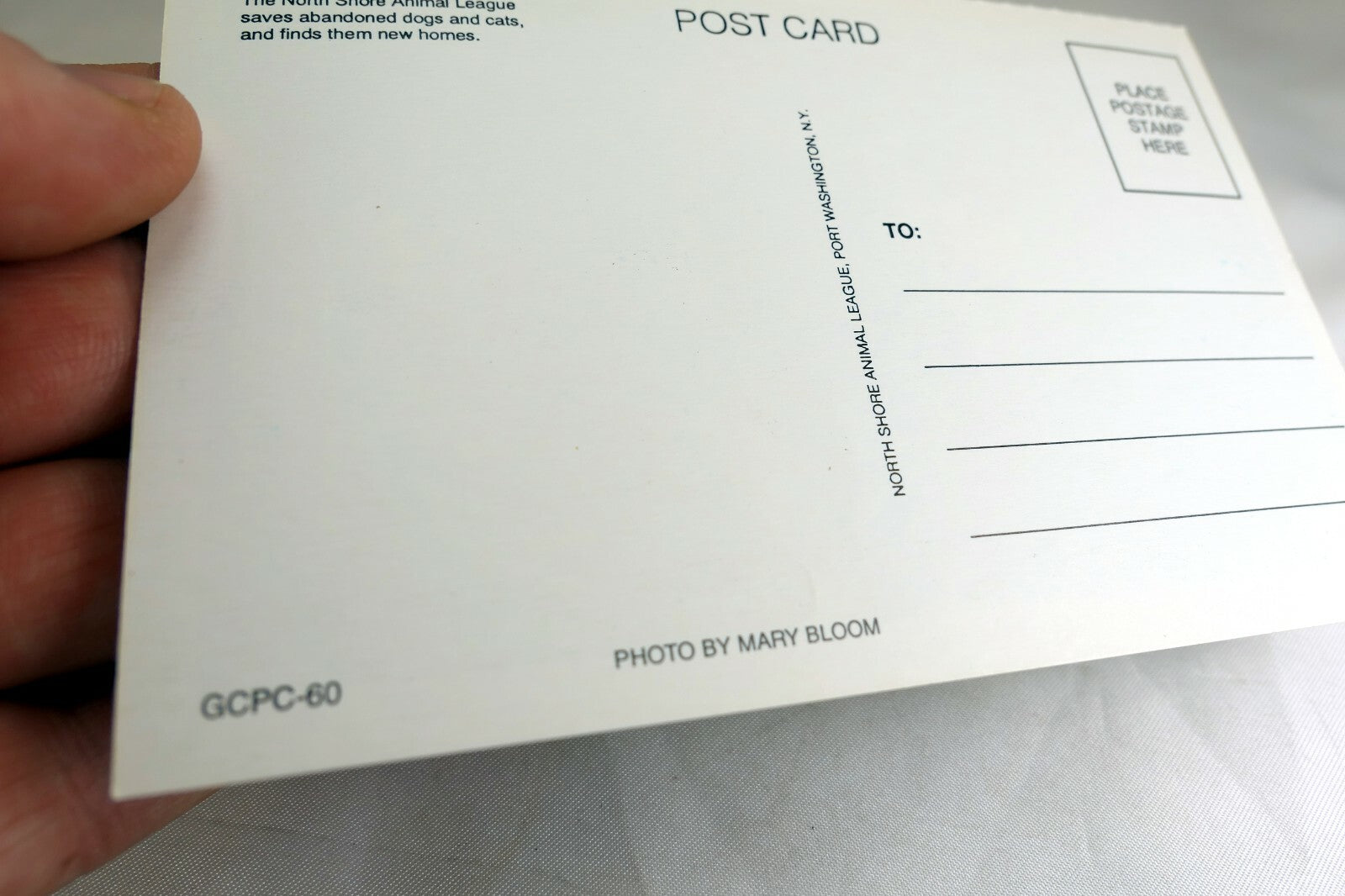 Greeting Postcard Animal Shelter North Shore League Dog Puppy with ball waiting