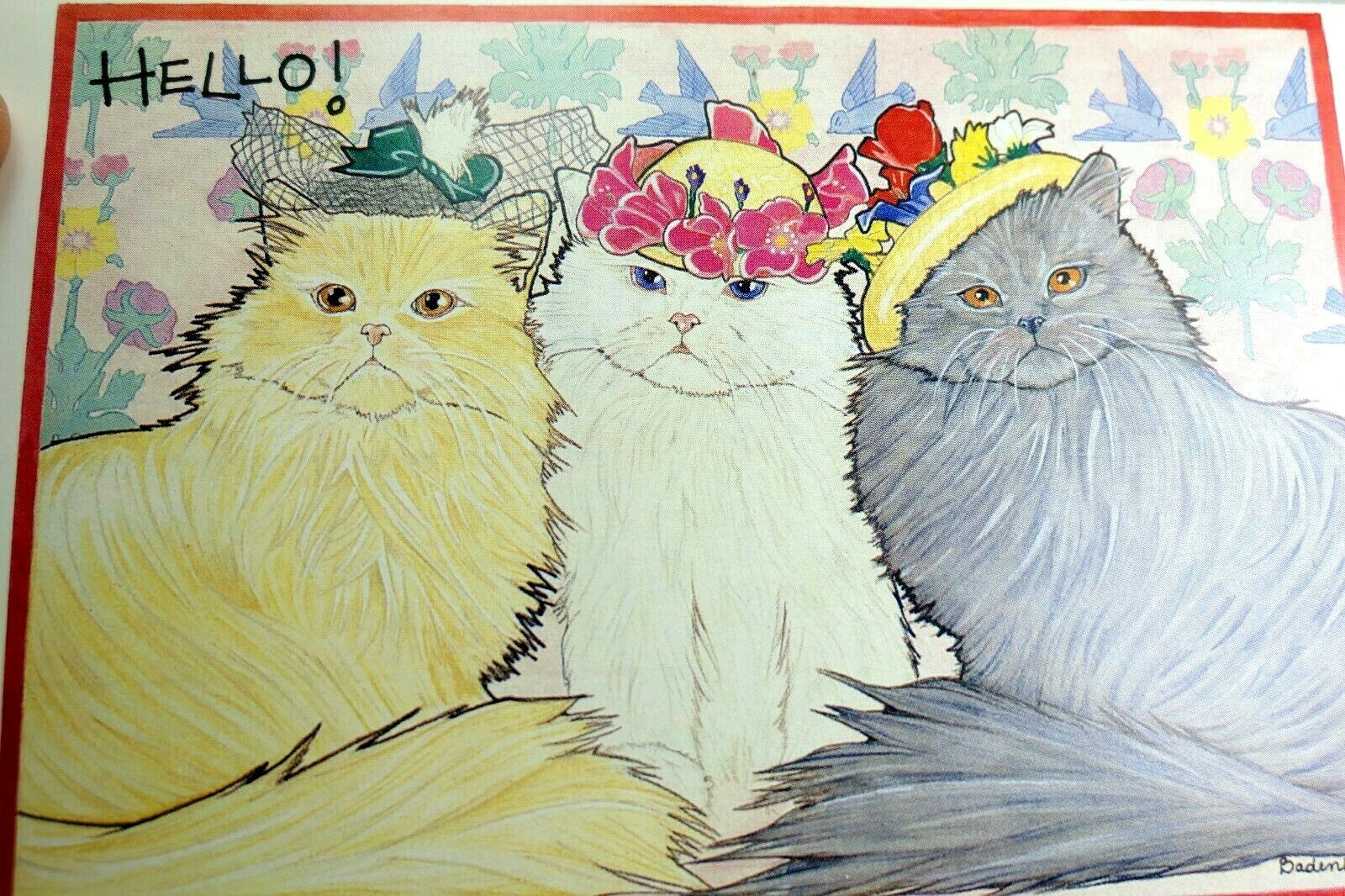 Hello! postcard animal shelter north shore league adopt a pet kitten cat vintage
