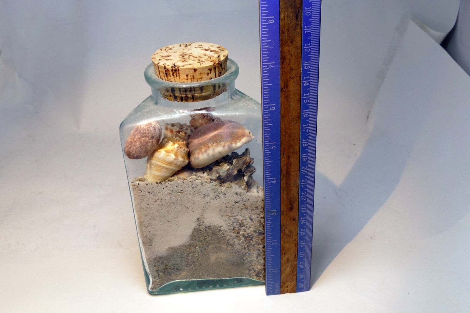 Pacific Island Ocean Shells Jar Beach bottle Triangle Clear Glass Hawaii USA