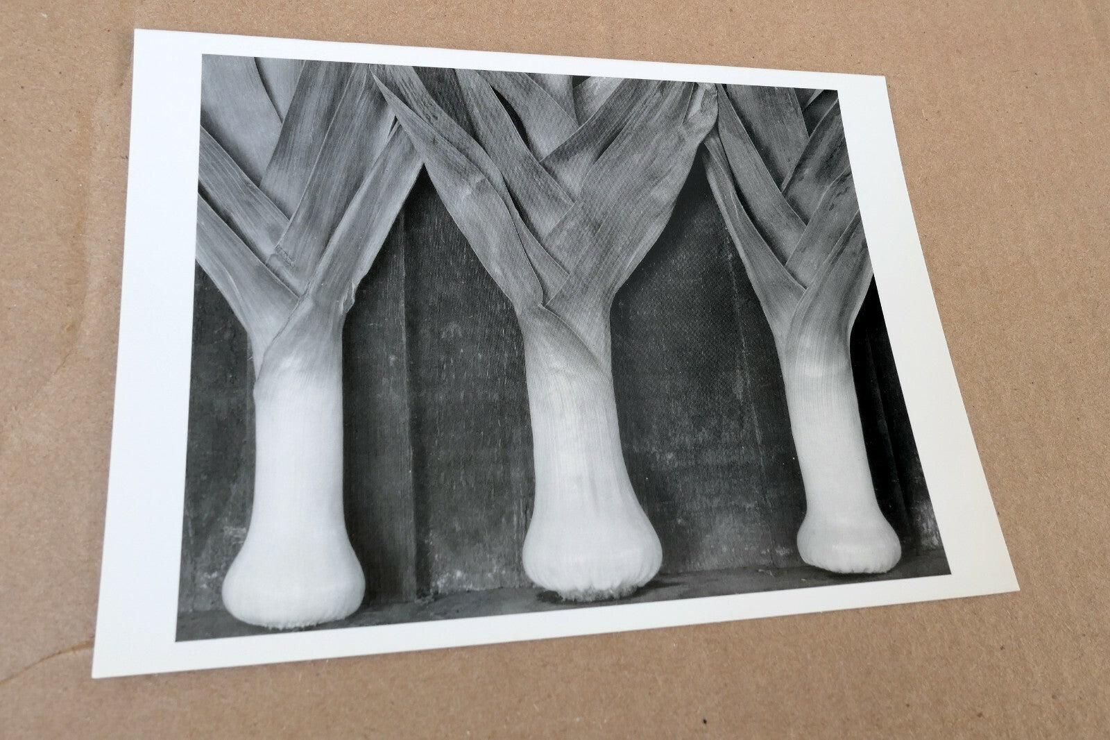 Leeks 1927 Photograph by Edward Weston greeting card W-010-85 2-V