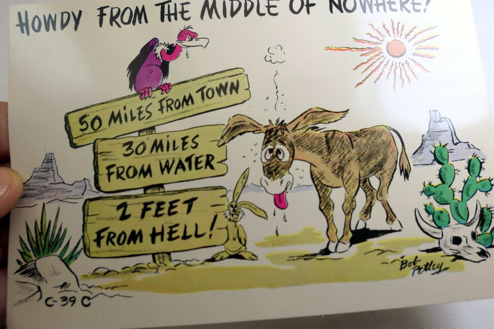 Howdy From Middle of Nowhere! Cowboy Postcards Arizona Phoenix Wild West Cowboy