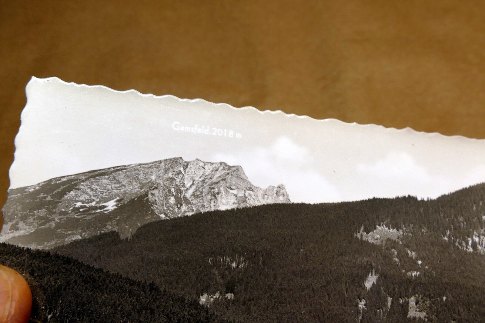 Sommerfrische Gosau Austria postcard 1940's  - unposted