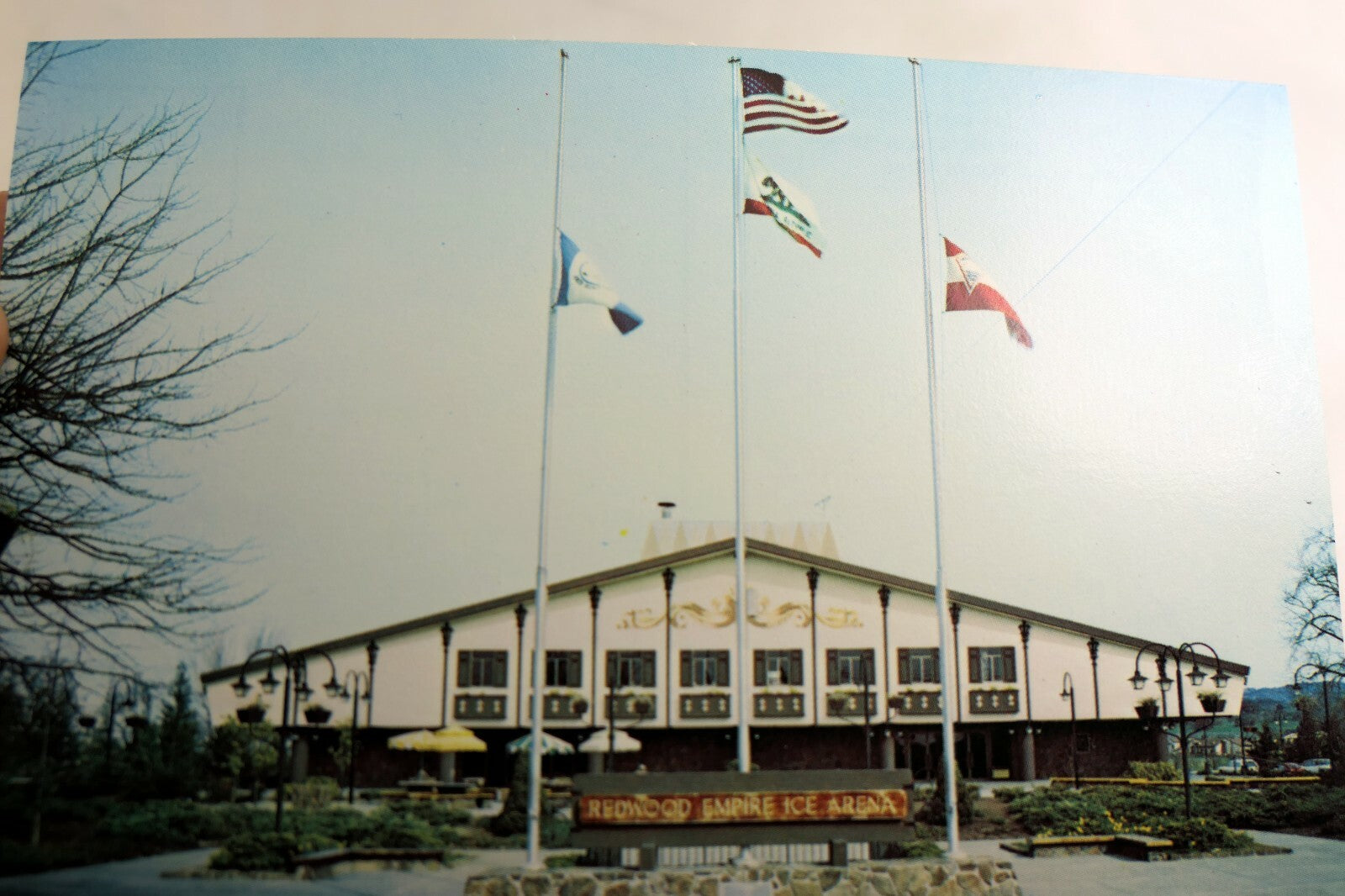 Redwood Empire Ice Arena Postcard Exterior Decor 1969 Santa Rosa California USA