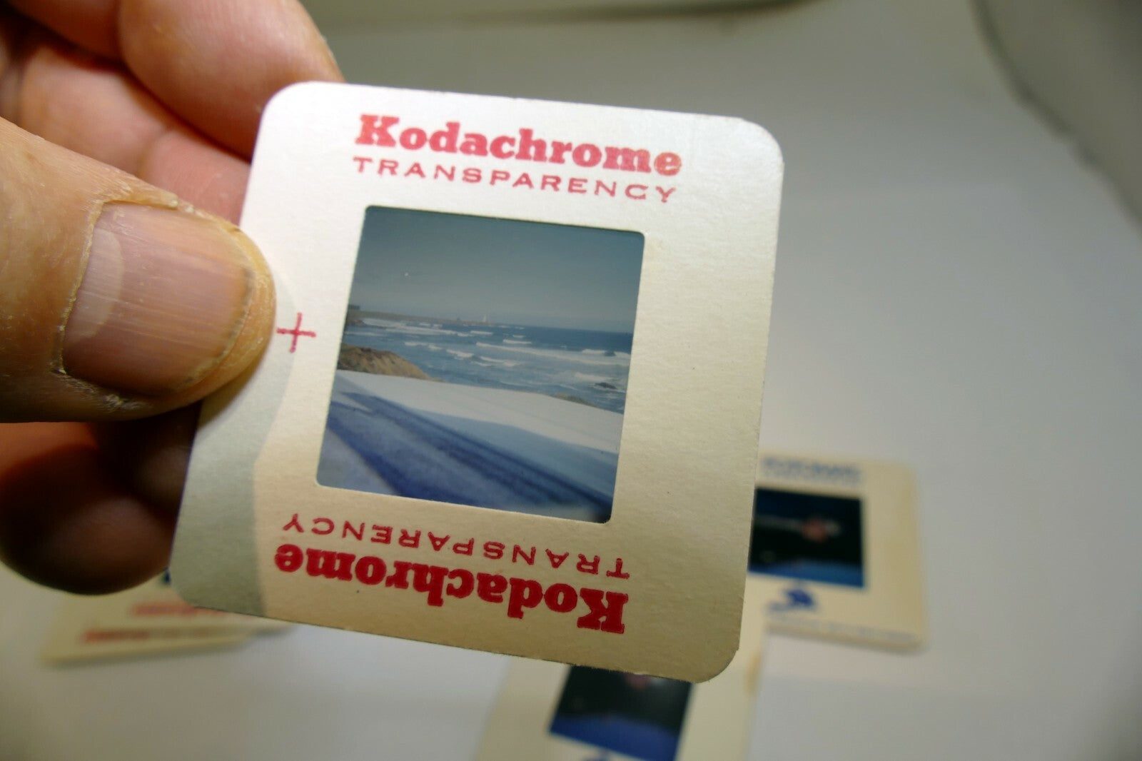 5 Color Slides 1970's  family pictures pumpkins landscapes pool