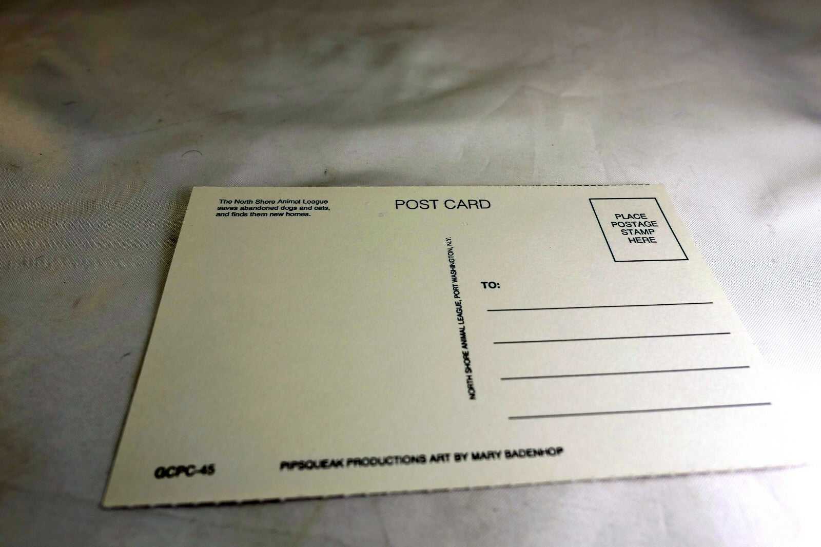 Just For You Get Well Postcard Animal Shelter North Shore League Dog Cat