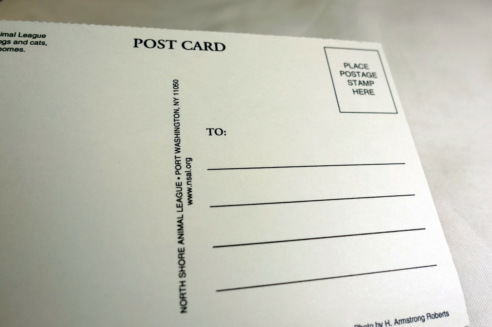 Postcard Animal Shelter North Shore League Adopt a Pet Kitten 1980's vintage