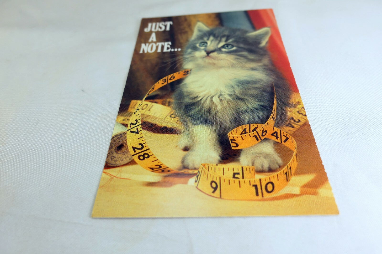 Just a Note Postcard Animal Shelter North Shore League Adopt a Pet Kitten 1980's