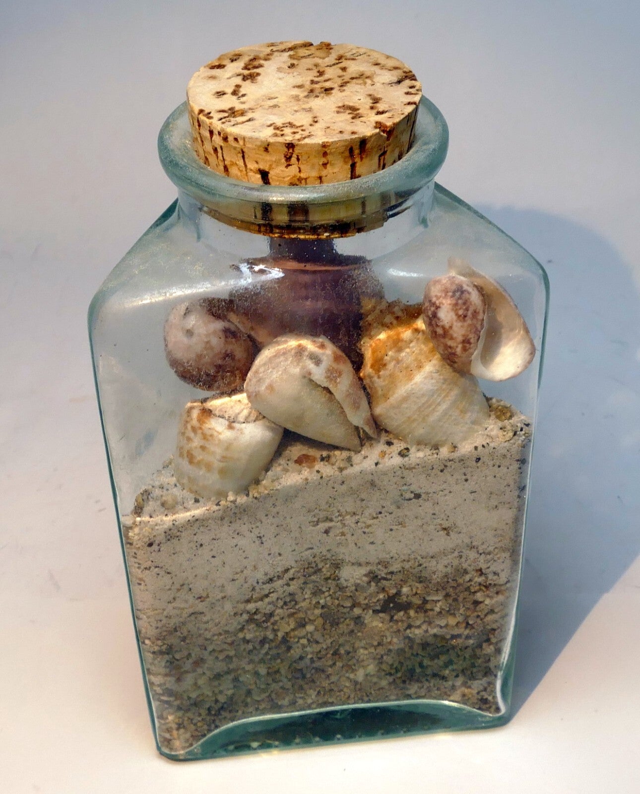 Pacific island ocean shells jar beach bottle triangle clear glass hawaii usa
