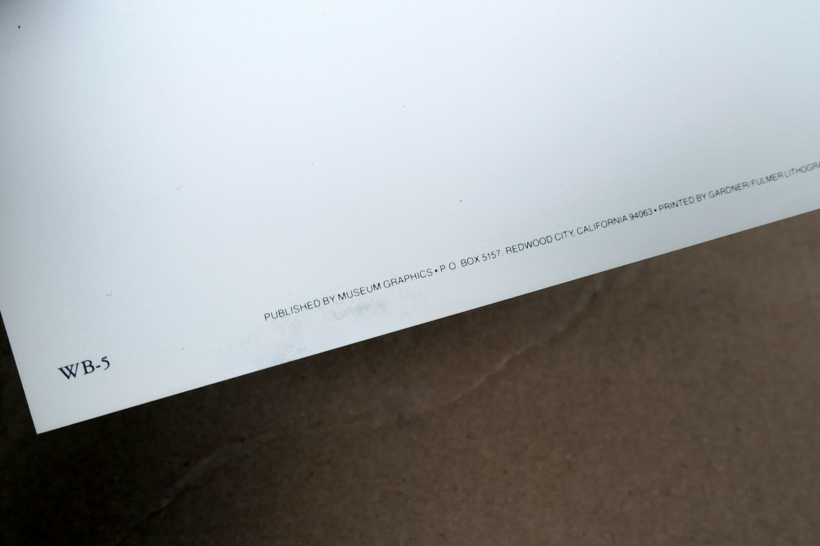 Let There Be Light 1954 Photograph by Wynn Bullock POSTCARD WB-5