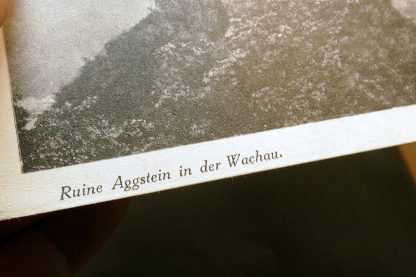Ruine Aggstein in der Wachau  1930's postcard Austria - unposted