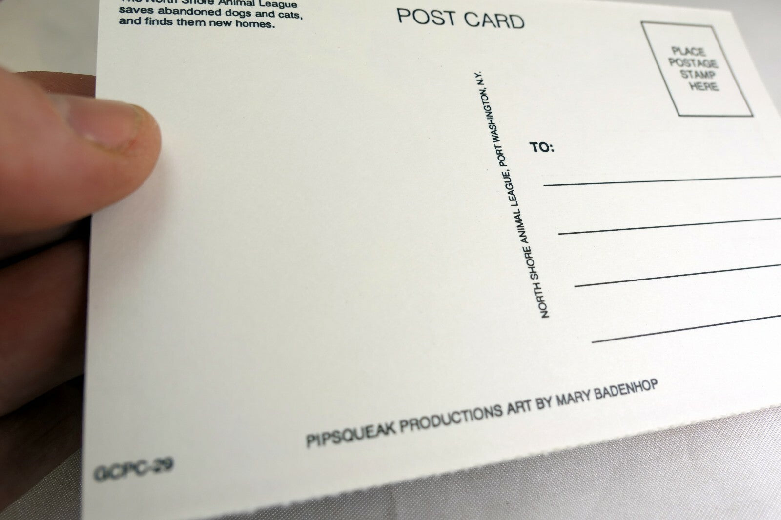 Hello! Postcard Animal Shelter North Shore League Adopt a Pet Kitten Cat vintage