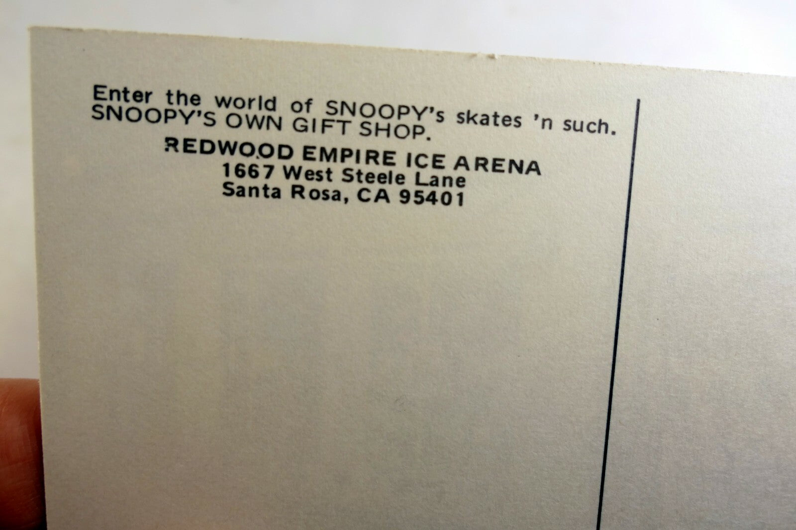 Redwood Empire Ice Arena Postcard Snoopy Gift Shop Charles Schulz California USA