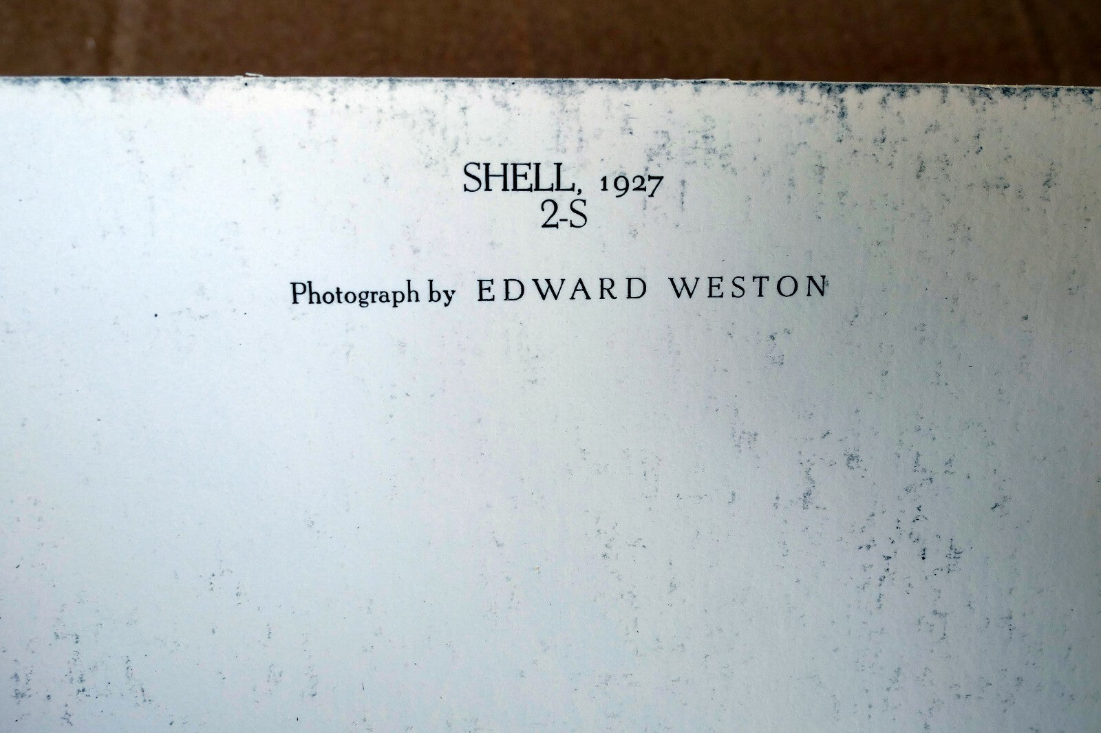 Shells 1927 2-S Photograph by Edward Weston POSTCARD vintage EW-7