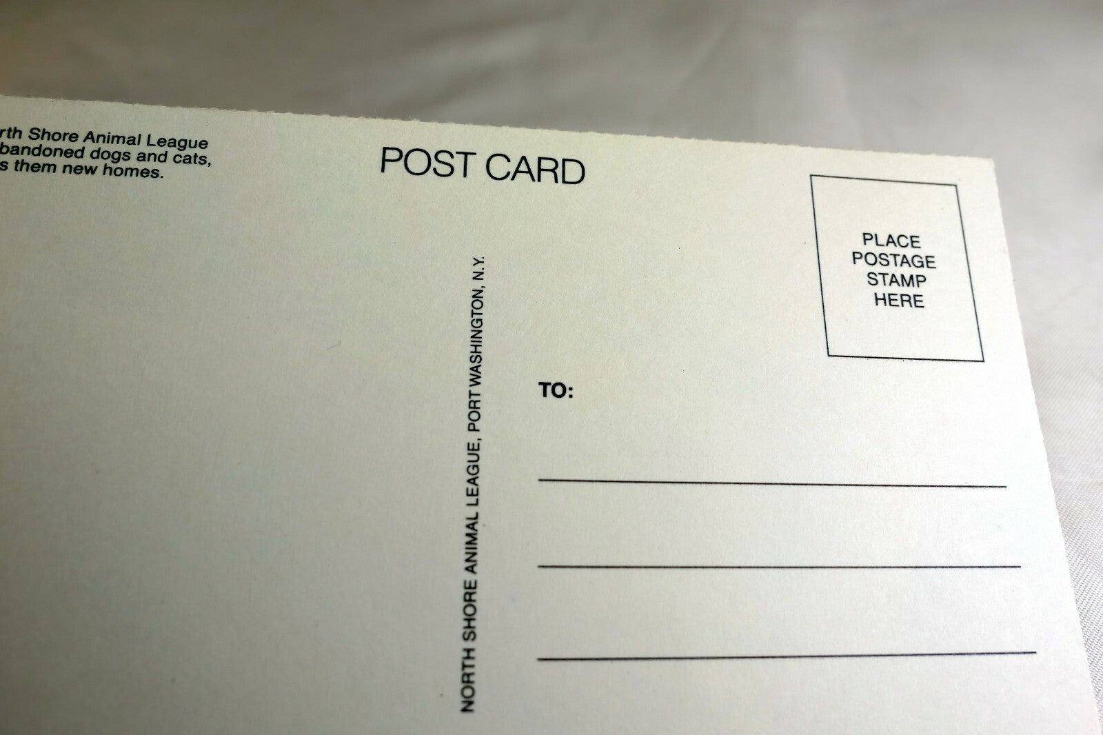 Happy Birthday Postcard Animal Shelter North Shore League Puppy golden retriever