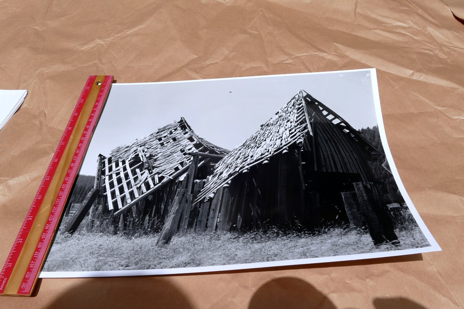 Mt. Shasta California 11X14" Black & white Picture Photo Abandoned Cabin USA