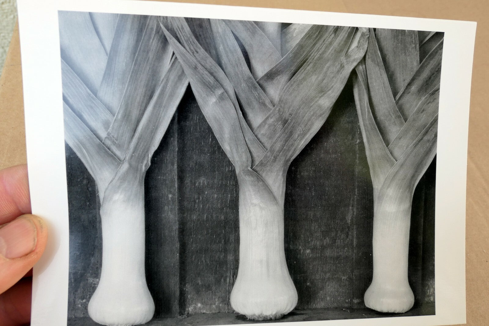 Leeks 1927 Photograph by Edward Weston greeting card W-010-85 2-V