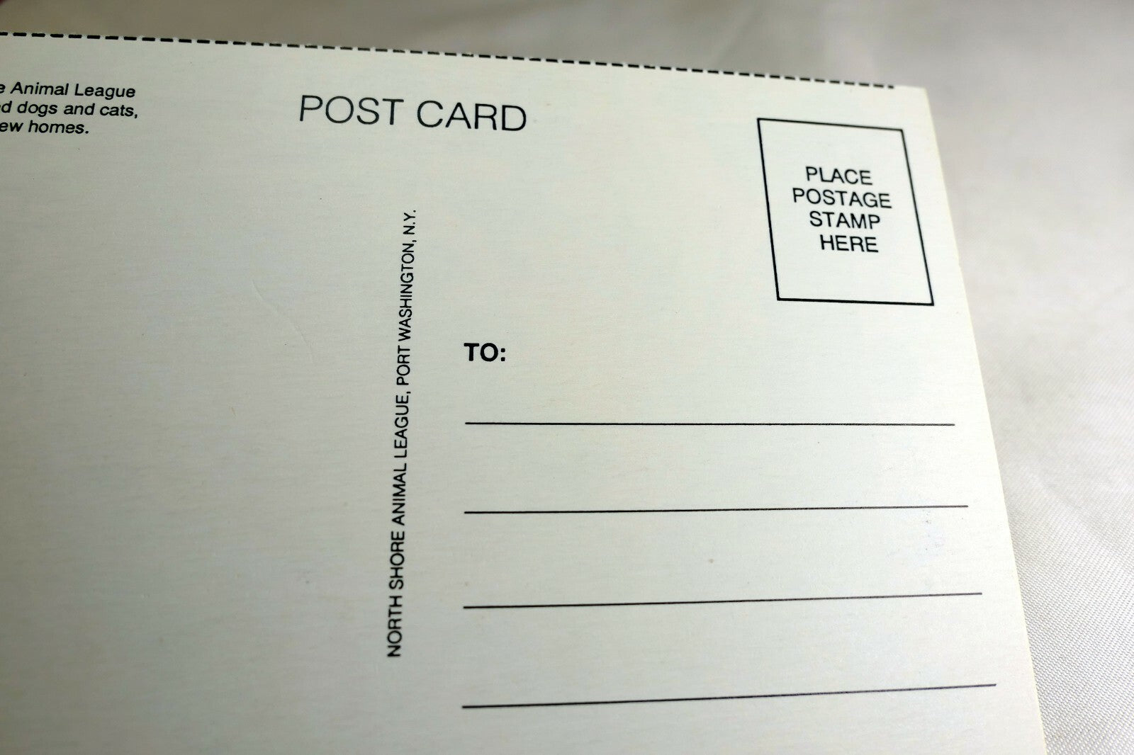 Happy Birthday Postcard Animal Shelter North Shore League Adopt a Pet 1980's