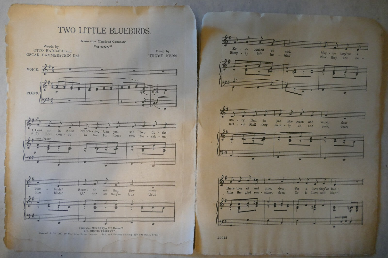 Two Litlle Bluebirds, 1925, from "Sunny" musical comedy, by Jerome Kern