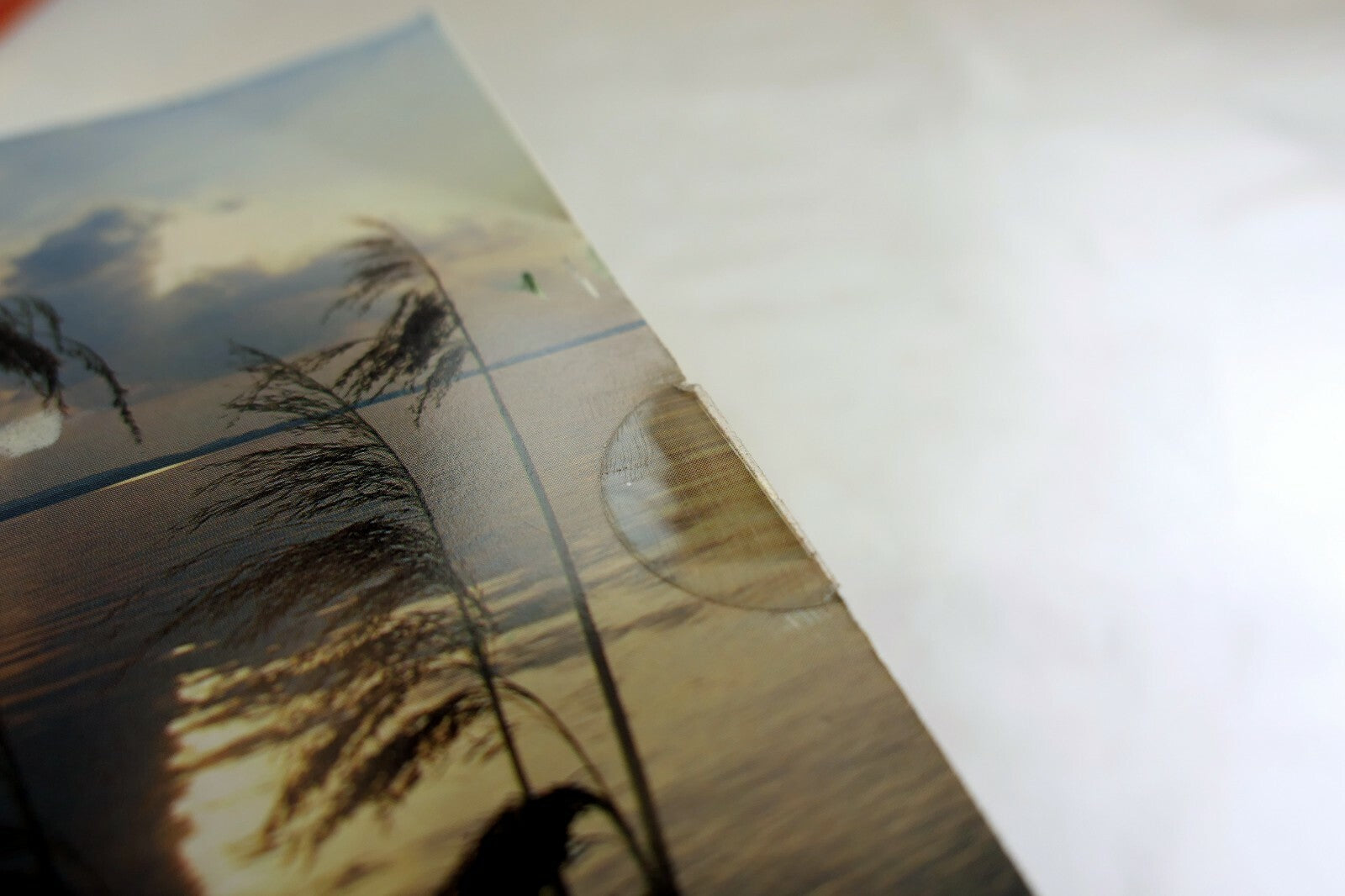 Lake Pampas Reeds grass sunset California USA Postcard vintage 1980's