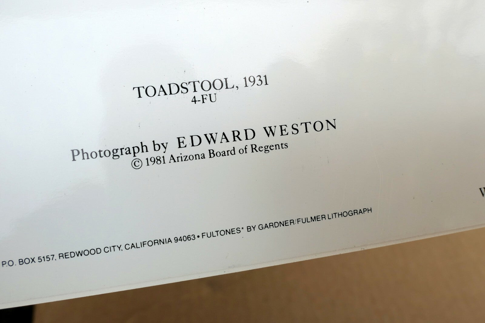 Toadstool 1931 4-FU Photograph by Edward Weston greeting card W-008-85