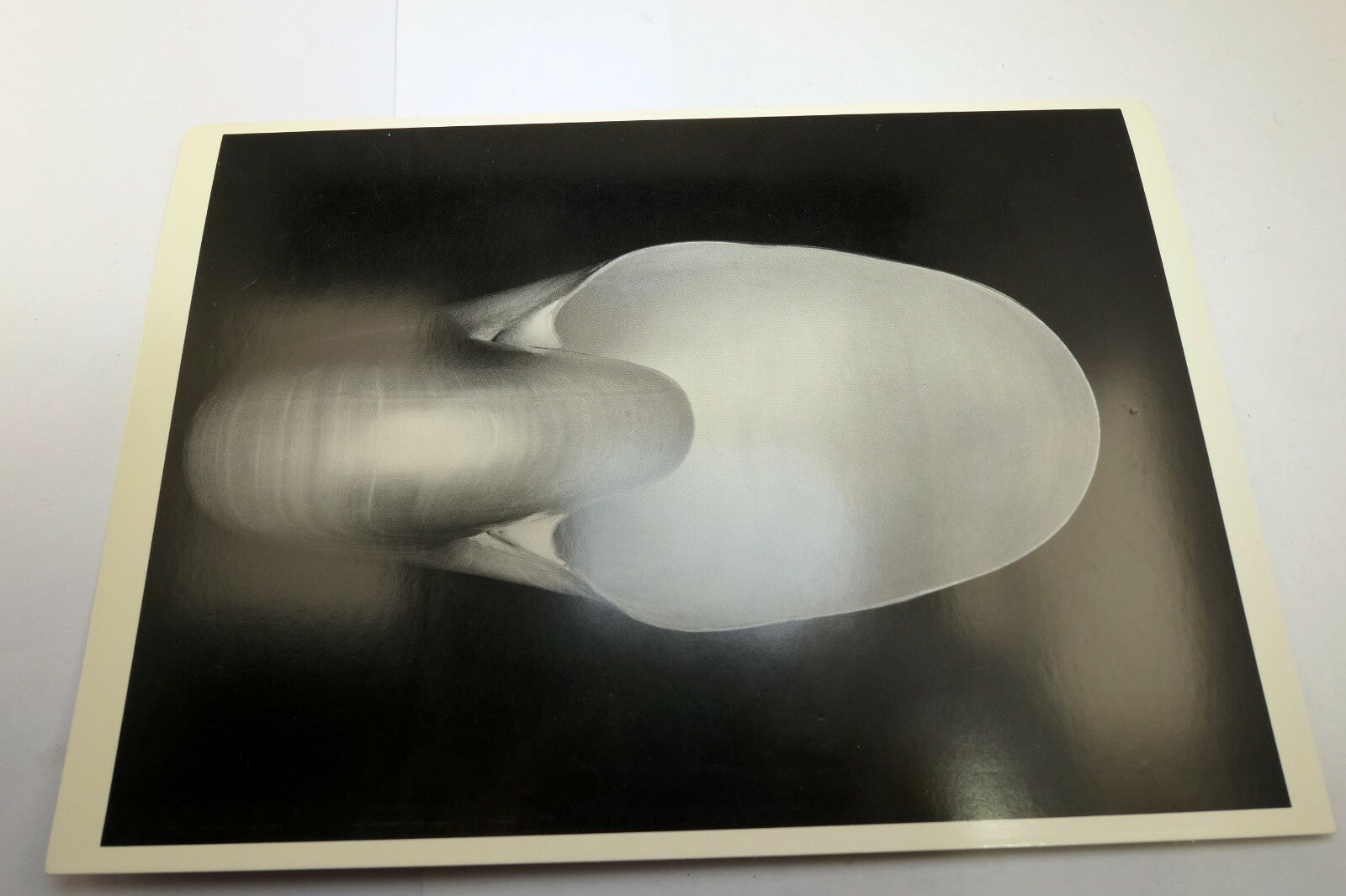 Shells 1927 1-S Photograph by Edward Weston POSTCARD vintage unposted EW-1