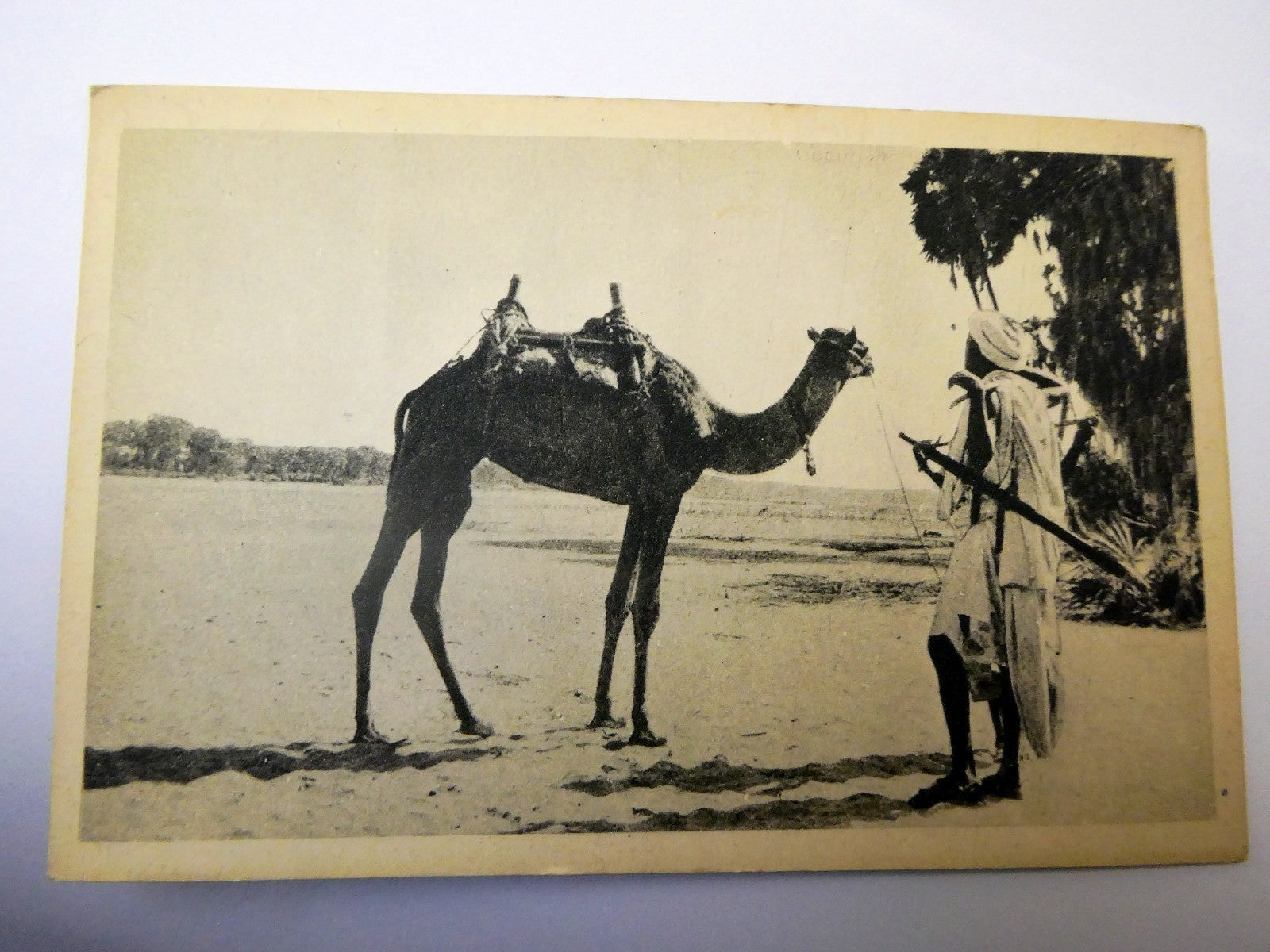 Post Card Cartolina Postale Fiume Barca cammelliere Guado  unused Unposted 1936