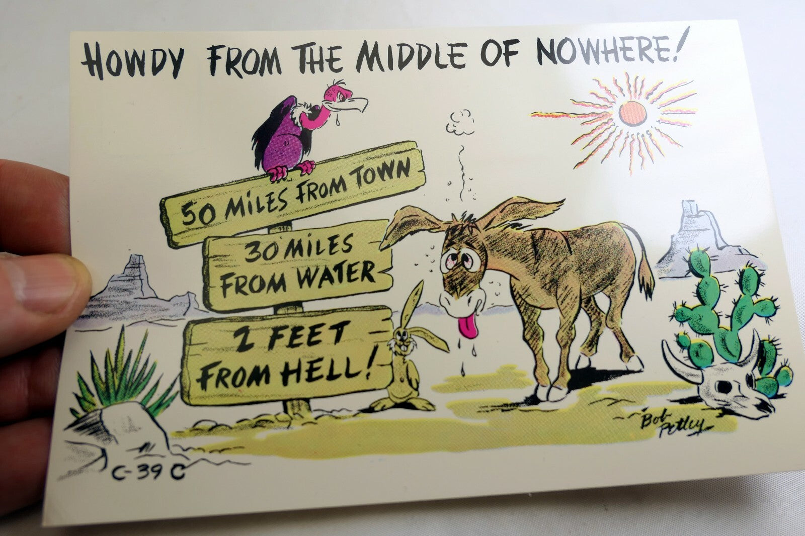 Howdy From Middle of Nowhere! Cowboy Postcards Arizona Phoenix Wild West Cowboy