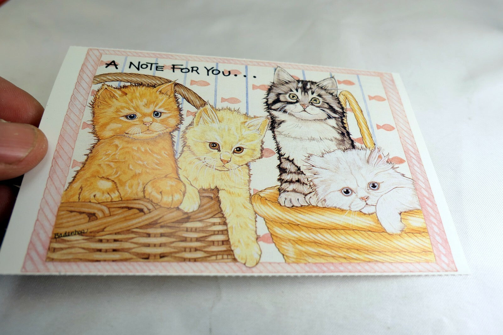 Note for You Postcard Animal Shelter North Shore League Adopt a Pet Kitten Cat