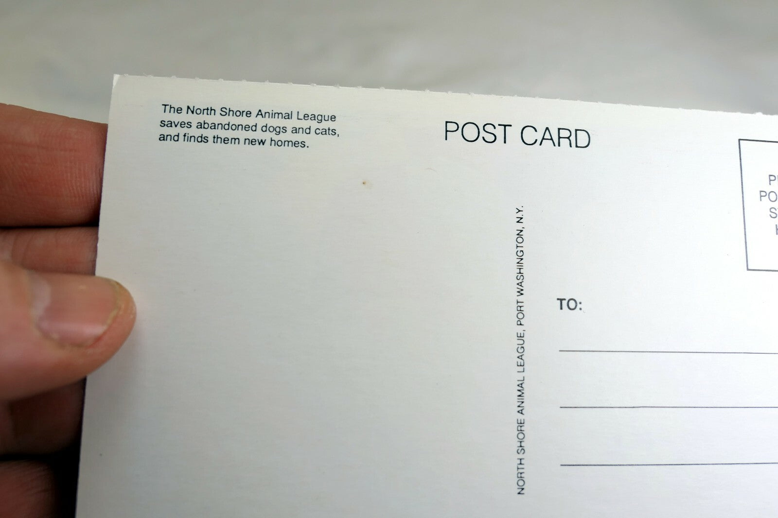 Get Well Postcard Animal Shelter North Shore League Child and Dog on Beach Sunny