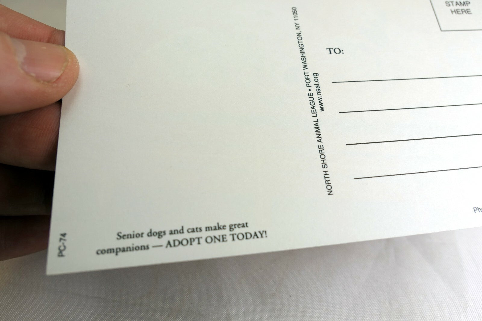 Greeting Postcard Animal Shelter North Shore League Dog Puppies in a Wagon 1980'