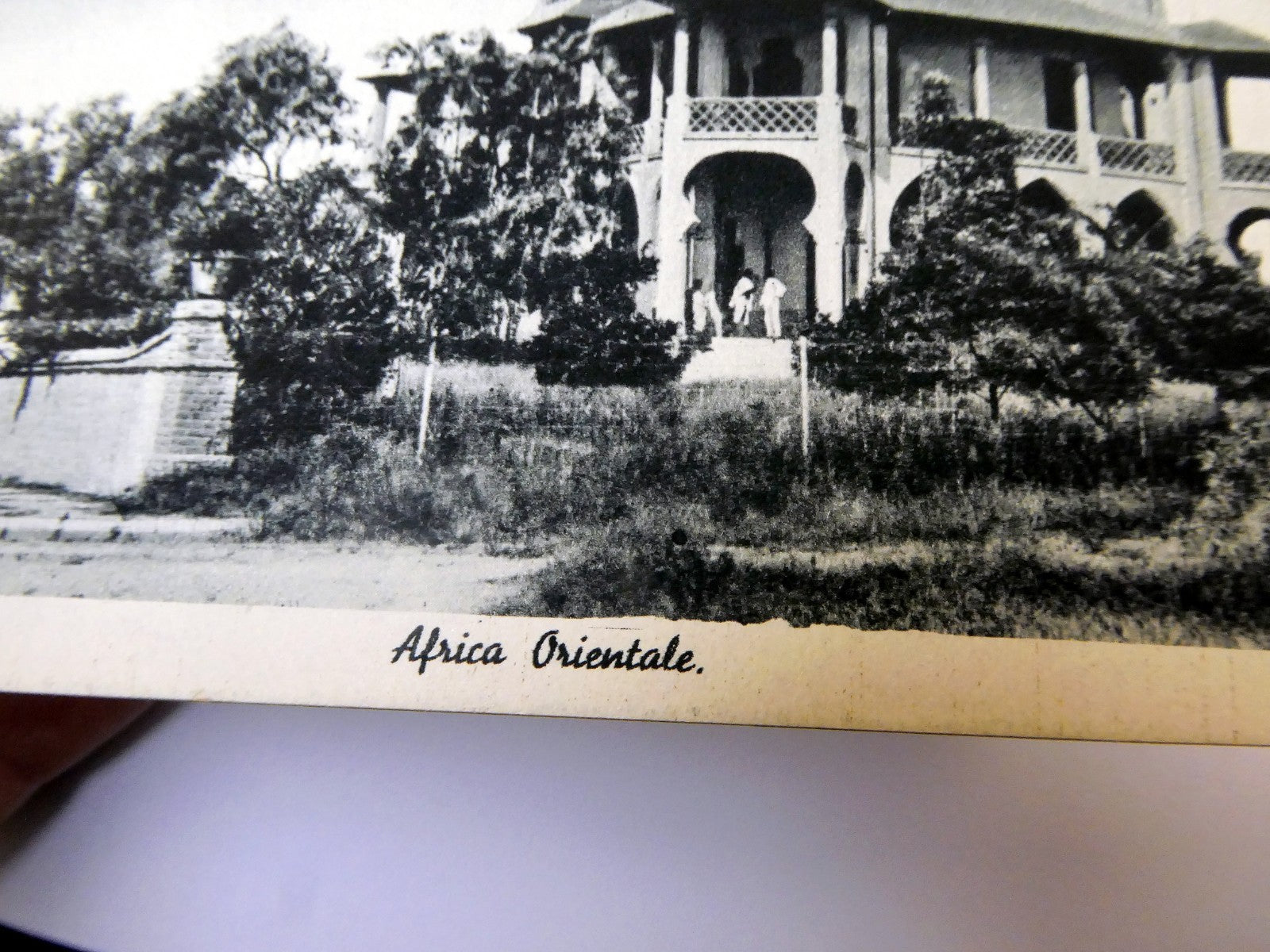 Post Card Cartolina Postale Africa Orientale unused Unposted 1900's