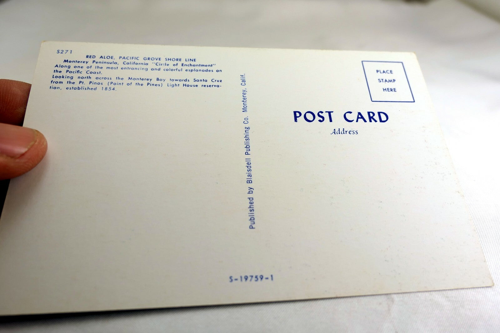 Red Aloe Shore Line Landscape Pacific Grove California USA Postcard 1970's