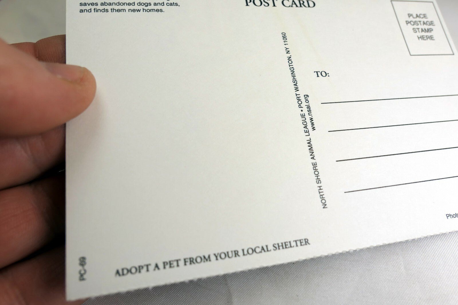 Postcard Animal Shelter North Shore League Adopt a Pet Kitten Cat vintage 1980's