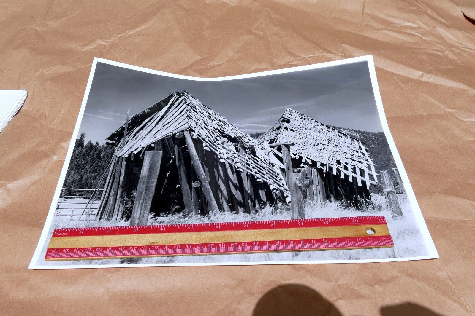 Mt. Shasta California 11X14" Black & white Picture Photo Forgotten Cabin USA