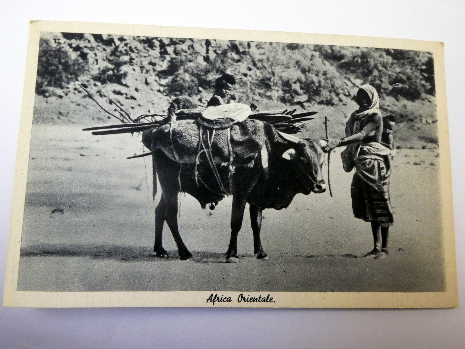 Post Card Cartolina Postale Africa Orientale unused Unposted 1900's