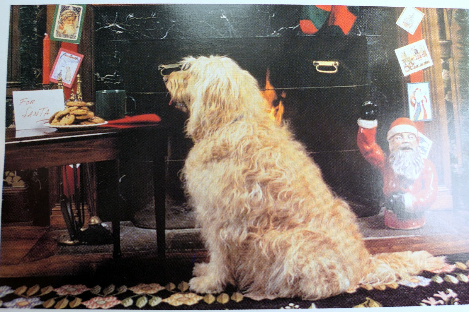 Get well postcard animal shelter north shore league dog with santa cookies 1980s