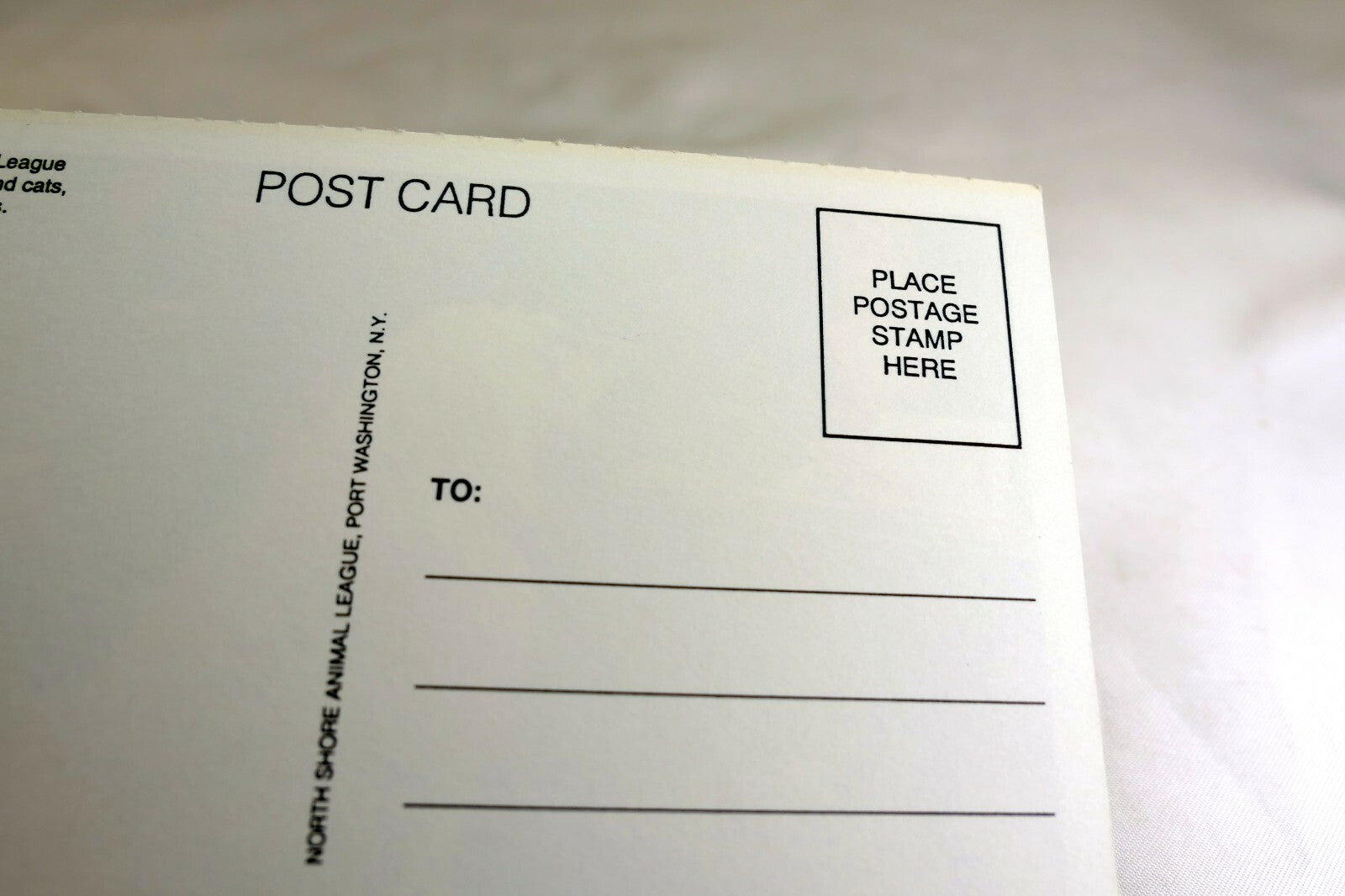 Get Well Postcard Animal Shelter North Shore League Dog with Santa Cookies 1980s