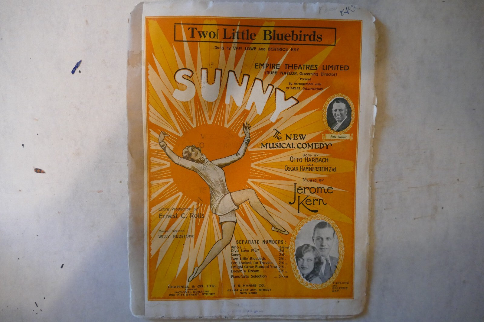 Two little bluebirds, sheet music 1925, from "sunny" musical comedy, by jerome kern