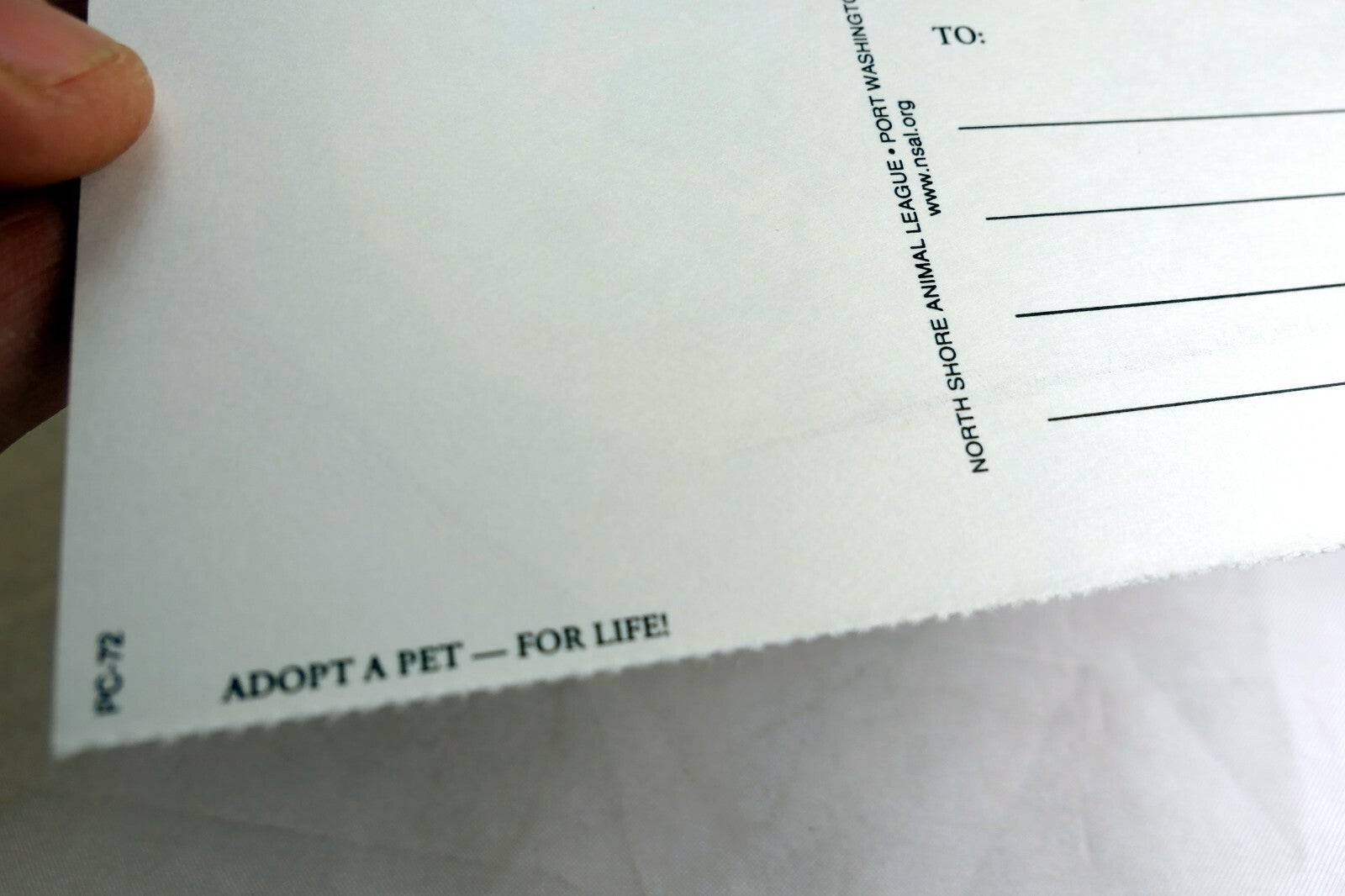 Greeting Postcard Animal Shelter North Shore League Dog Puppy Adopt a Pet! 1980'