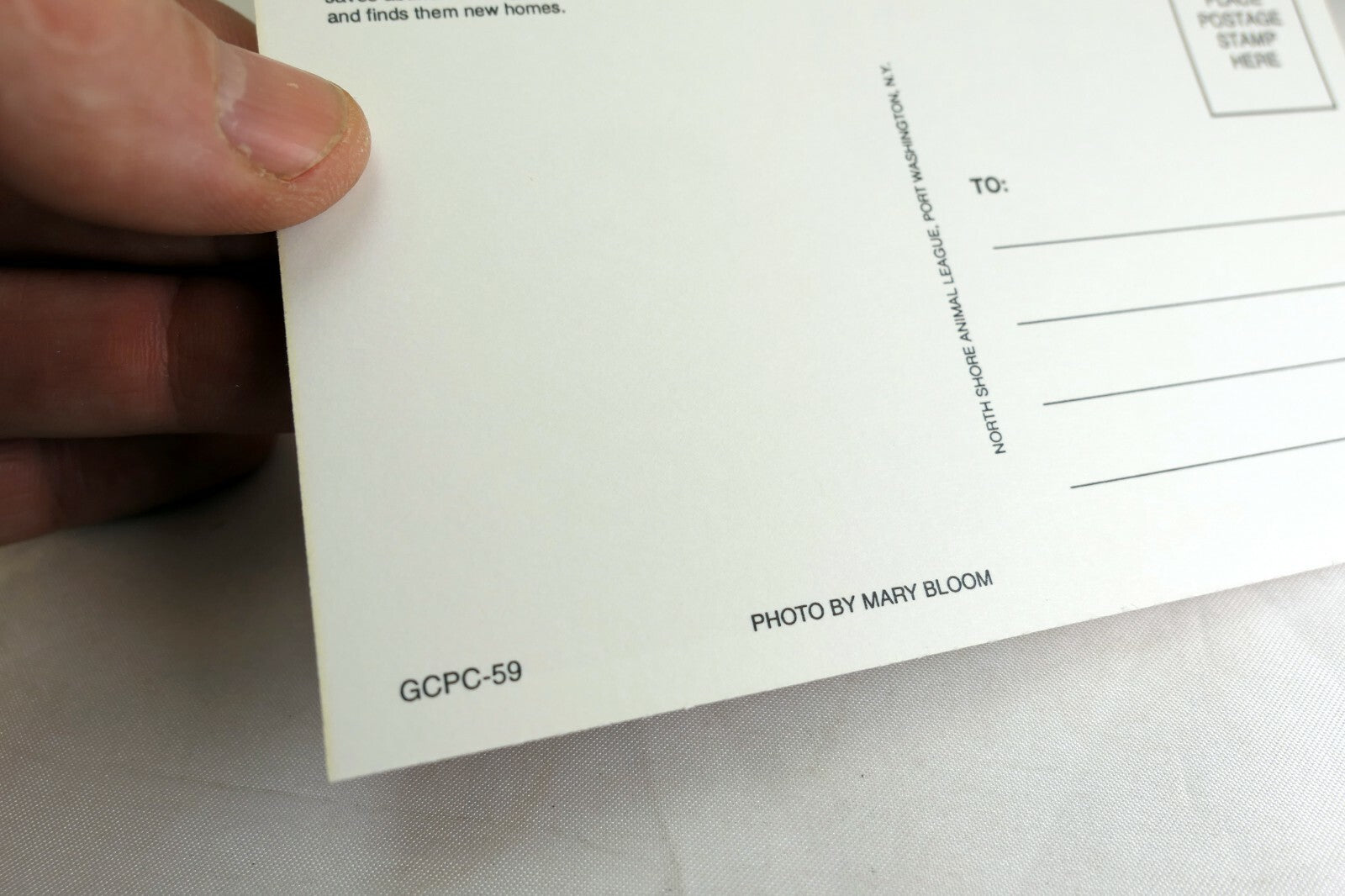 Postcard Animal Shelter North Shore League Adopt a Pet Kitten Cat vintage 1980's